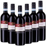 Bio-Montepulciano Abruzzo DOC TerrAmore Italien  trocken - 6er Karton
