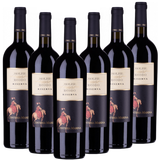 Molise Rosso DOC Riserva Contessa Marina  trocken - 6er Karton
