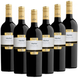 Merlot Italieno DOC Mastri Vernacoli Italien trocken