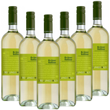 Grüner Veltliner Niederösterreich QUW Drei Junge Wilde  trocken - 6er Karton