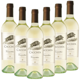 Vermentino di Toscana IGT Cacciata Italien  trocken - 6er Karton