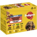 Pedigree Nassfutter Hund Senior, Multipack, Gemischte-Selektion, in Gelee 12x100 g