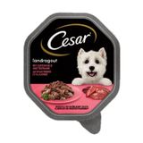 Cesar Landragout Kalb und Truthahn 14x150 g
