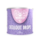 Tierliebhaber Chillout Drops für Hunde 350g