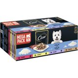 Cesar Mega Pack Portionsbeutel Senior 10+ in Gelee 4 Varietäten 40x100g