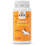 Dog-Native GelenkFit für Hunde, natürliches Gelenkpulver, Gelenk Fit Pulver mit Grünlippmuschel, MSM, Kollagen & Chondroitin für Gelenke & Knochen, 175g
