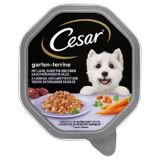 Cesar Garten-Terrine 14x150g Lamm, Karotten und Koriander