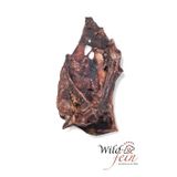 Wild & Fein Rehbeckenknochen getrocknet 1 Stück