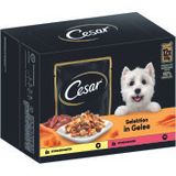 Cesar Multipack in Gelee mit Huhn Karotten Rind und Gemüse 4x12x100g