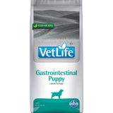 VetLife Farmina Puppy Gastrointestinal 12 kg