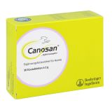 Canosan Kautabletten bei Gelenkproblemen Hund mit Grünlippmusche