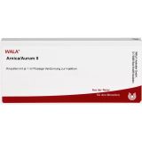 ARNICA/AURUM II Ampullen 10 ml