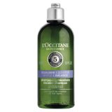 Sanfte Balance Shampoo 300ml 1 St