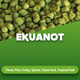 Hopfenpellets Ekuanot 1 kg