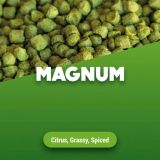 Hopfenpellets Magnum 100 g
