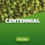 Hopfenpellets Centennial 1 kg