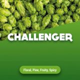 Rohhopfen Challenger 100 g
