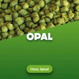 Hopfenpellets Opal 100 g