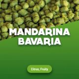 Hopfenpellets Mandarina Bavaria 1 kg