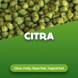 Hopfenpellets Citra 100 g