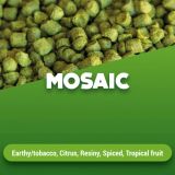Hopfenpellets Mosaic 1 kg