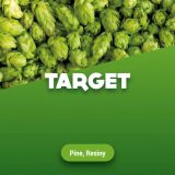 Rohhopfen Target 100 g
