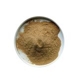 Malzextrakt Pulver black 95 EBC 5 kg