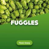 Rohhopfen Fuggles 100 g