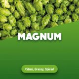 Rohhopfen Magnum 100 g