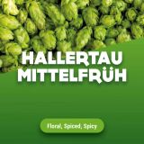 Rohhopfen Hallertau Mittelfrüh 1 kg