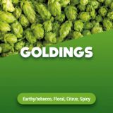 Rohhopfen Goldings 1 kg