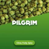 Hopfenpellets Pilgrim - 1 kg