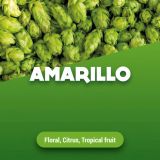 Rohhopfen Amarillo 1 kg