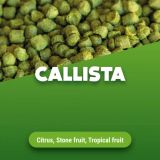 Hopfenpellets Callista 1 kg