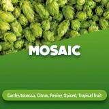 Rohhopfen Mosaic 1 kg