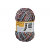 Regia - Design Line by Arne und Carlos 6-ply Garn 03655 Fall Night
