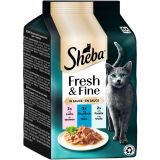 Sheba Fresh & Fine in Sauce Lachs/Thunfisch/Forelle 6ST 300G