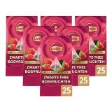 Lipton - Exclusive Selection Schwarzer Tee Waldfrüchte - 6x 25 Teebeutel
