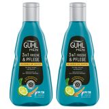 Guhl - Men 3in1 Frische & Pflege Shampoo - 2x 250ml
