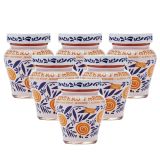 Fabbri - Zenzero Fabbri (Ingwer) - 6x 230g