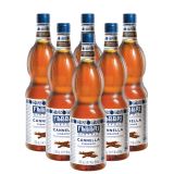 Fabbri - Mixybar Zimt Sirup - 6x 1ltr
