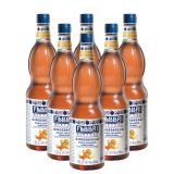 Fabbri - Mixybar Lebkuchen Sirup - 6x 1ltr
