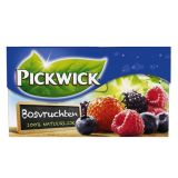 Pickwick - Waldfrucht Tee - 20 Teebeutel