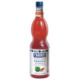 Fabbri - Mixybar Wassermelone Sirup - 1ltr