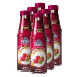 Fabbri - Topping Himbeere - 6x 690ml