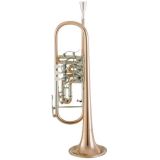 Cerveny CTR-701R- B-Konzerttrompete, Goldmessing, incl.Etui u. Zubehör,CVTR701