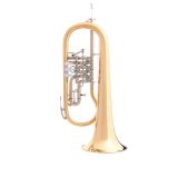 B&S 3017/2 TR-L B-Konzert-Flügelhorn, incl.Etui u.Zubehör