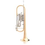 B&S 3005 3TRL Konzerttrompete, incl.Etui u. Pflegeset