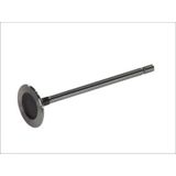 FRECCIA Einlaßventil R6029/S  RENAULT,NISSAN,DACIA,CLIO II (BB0/1/2_, CB0/1/2_),Clio III Schrägheck (BR0/1, CR0/1),TWINGO II (CN0_)