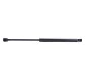 RIDEX Heckklappendämpfer 219G0100 Kofferraum Dämpfer,Gasfeder Heckklappe MINI,Schrägheck (R50, R53),Cabrio (R52)